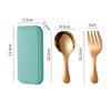 304 Stainless Steel Fork Spoon Set With Box Dessert Spoon Fruit Fork Outdoor Picnic Camping Travel Compact Mini Portable Tableware Set YLE209