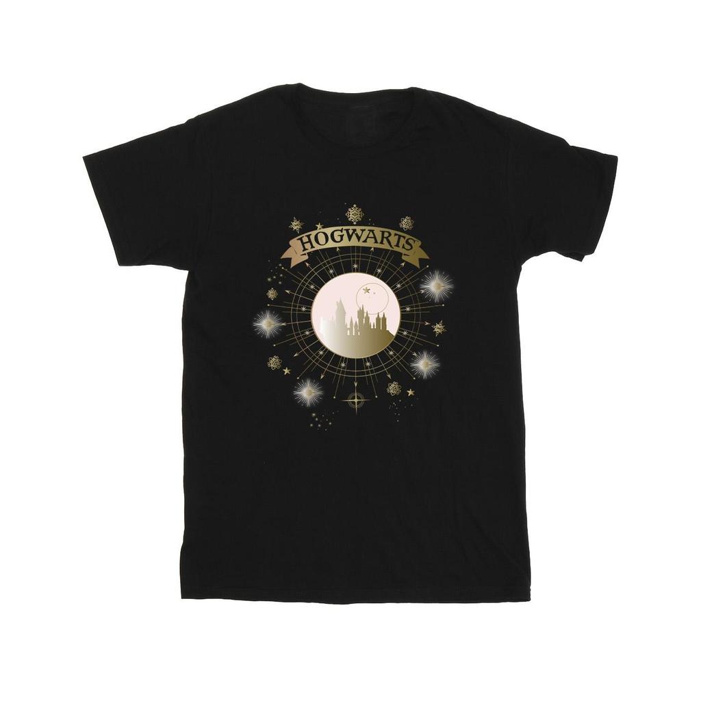 Harry Potter Mens Hogwarts Yule Ball T-Shirt