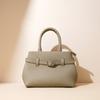 2025 Spring New Handbag Premium Simple Versatile Messenger Bag Niche Design Commuter Women's Bag Exquisite and Compact