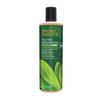 Tea Tree Replenishing Shampoo, 12.7 Fl Oz