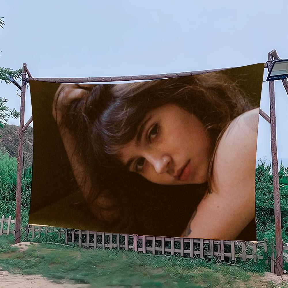 Singer Clairo Charm flag College Bedroom Living Room Home Dorm Decor Funny Tapestry Garage Bar Wall Club Banner