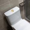 Sophisticated Gold Toilet Flush Button Designed for Long Lasting Use