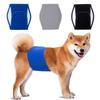 Новое поступление Товары для питомцев Подгузник для кобеля Физиологический пояс Подгузник для питомца Регулируемые Подгузники с защитой от протекания