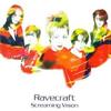 CD RAVECRAFT - Screaming Vision  AMCM4367 EastWest 1998 Япония Рок Б/У