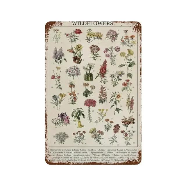 Vintage Butterfly Insect Plant Collection Chart Metal Tin Sign Retro Aesthetic Art Decor for Living Room Wall Home Decor Poster