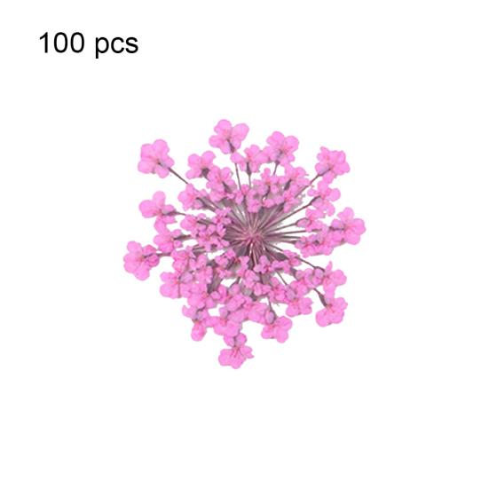 100шт прессованный сушеный цветок Ammi Majus из эпоксидной смолы для ногтей DIY Декор для телефона