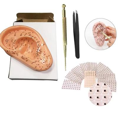 4 в 1 Модель акупунктуры уха Ear Press Seed Ear Probe Set 13 см Ухо Аурикулярные акупунктурные точки Модель