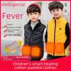 Children's USB Heated Vest - Electric, Warm, and Cotton for Boys and Girls