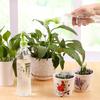 Mini Water Sprinkler Garden Tools Pot Watering Plant Small Sprayer