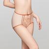 Women's Embroidered Mesh Mid-High Waist Briefs