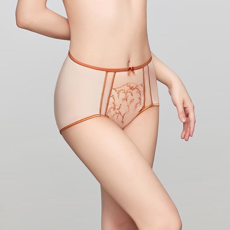 Women's Embroidered Mesh Mid-High Waist Briefs