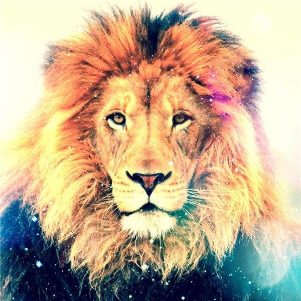 50x50cm 5d Diamond Painting Lion Diamond Embroidery Animal Pictures Of Rhinestones Mosaic Cross Stitch Craft Kit