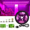 5V USB LED 1-5m Full Spectrum Waterproof LED Chip Plant Light Grow LED Strip for Greenhouse Flower Seedling Grow Tent Hydroponic