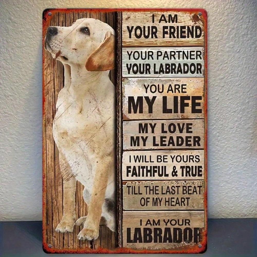Plaques & Signs Retro Labrador Vintage Metal Wall Sign 8x12 Inch, Square Tin Poster for Bar Cafe Home Decor Man Cave