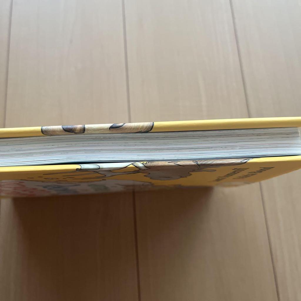 [Б/У] МЫШЬ COOKIES & MORE СОКРОВИЩНИЦА Английская Книжка с картинками