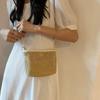 Hollow Out Raffia Bag Pu Leather Weave Straw Crossbody Bag Casual   Girls