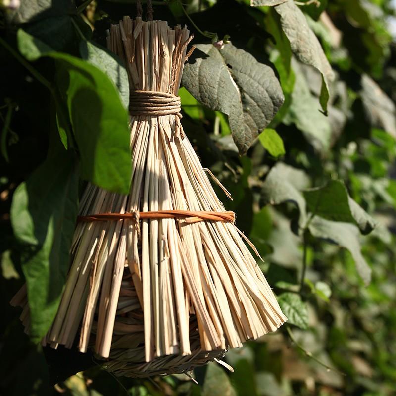 Handmade Woven Bird Nest Small Birds Natural Rush Grass Outdoor Birdhouse Decor Garden Preschool Craft