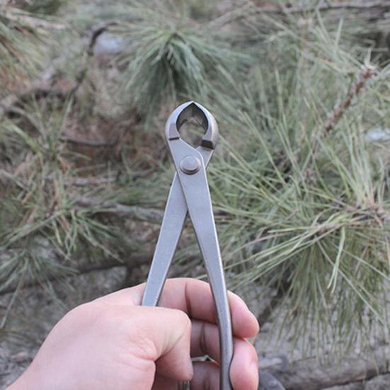 Инструмент для бонсай из нержавеющей стали Вогнутый резак Резак для почек Кусачки для проволоки Плоскогубцы для джина Расщепитель ствола Ножницы для бонсай Сверхпрочный инструмент для обрезки и ухода за садом