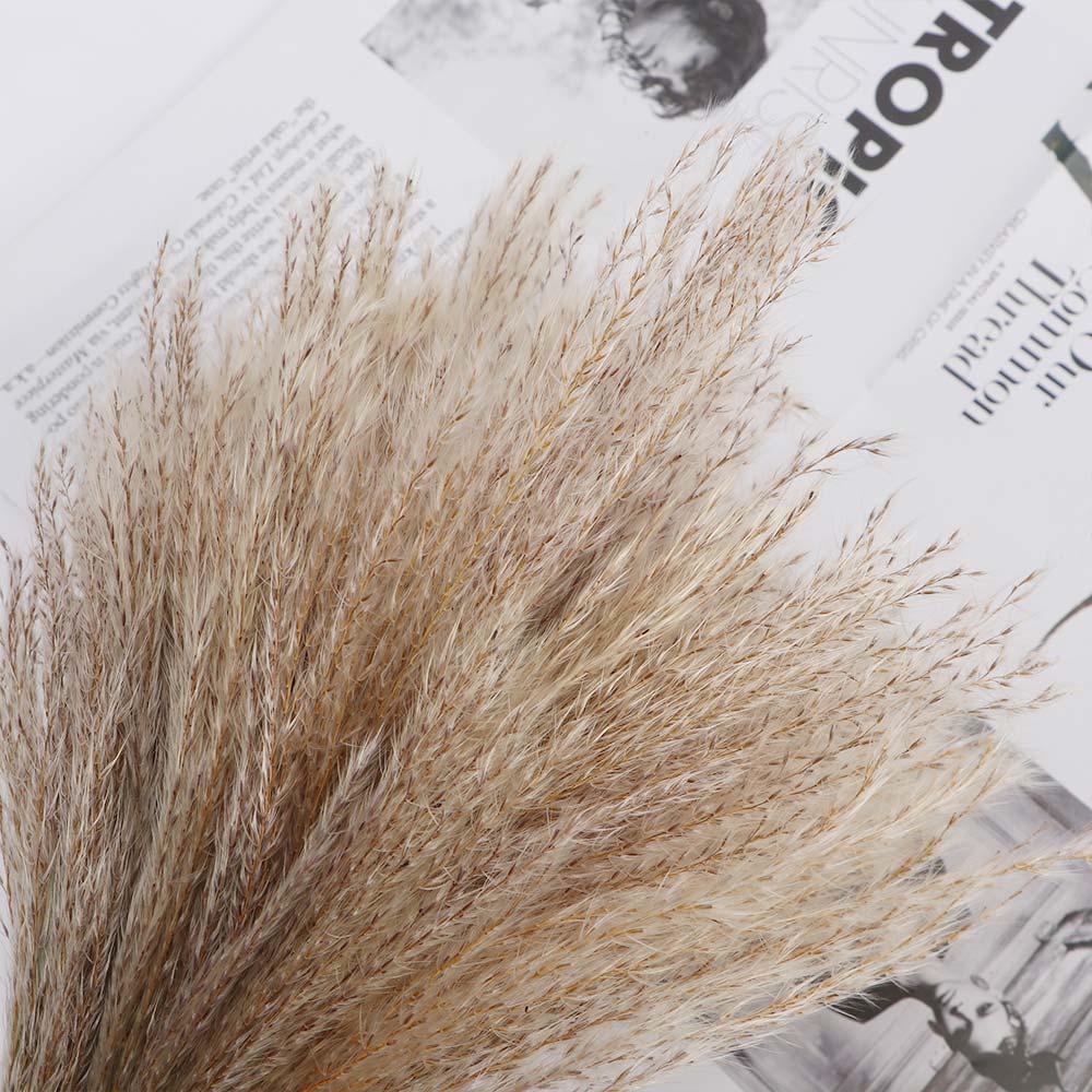 Красивый подарочный тростник для свадьбы, букет цветов, растения, пампасная трава, домашний декор, сухоцветы, тростник