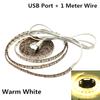 USB LED-Strip 1 Meter Wire SMD3528 light 5V adapter string Christmas desk tape TV Background Lighting 5V 50CM 1M 2M 3M 4M 5M