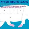 12-дюймовая пластинка SHIHO FUJISAWA - After Hours E.P. 02 ER0009 Eat Records 2009 Япония Танцевальная и Электронная Б/У
