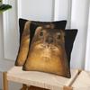 Rock Hyrax Photo Dassie Vampire Potato 2 pcs Square Pillowcase Pillow Cover Cushion Decor Comfort Throw Pillow for Home Bedroom