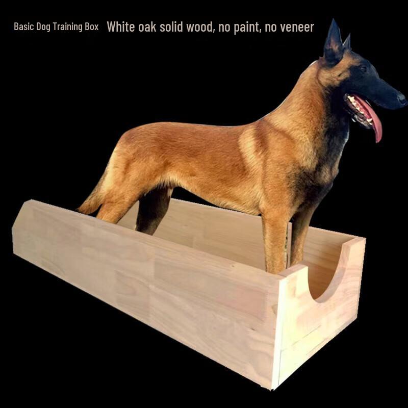 Guardian Dog Training Correction Box
