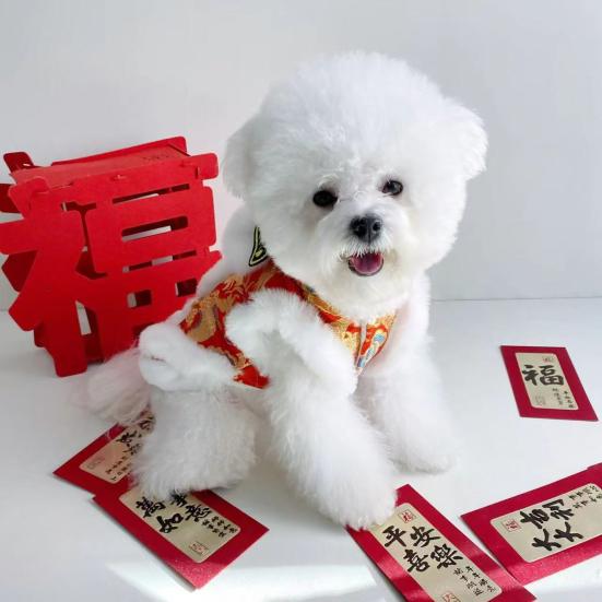 Lion Dance Dog Coat Chinese New Year Pet Costume Embroidered Dog Hoodie Warm Winter Clothes for Small Dogs Cats Spring Festival Apparel