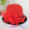 Woolen hat female autumn and winter British celebrity feather mesh yarn dome top hat casual versatile bucket hat basin hat tide