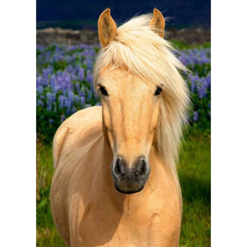 Новый 5D DIY пейзаж алмазная живопись Лошадь Алмазная вышивка животное вышивка крестиком полная круглая дрель домашний декор ручной подарок