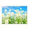 Abstract Daisy Art Large Carpet Living Room Floor Mat Colorful Pattern