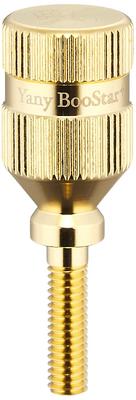 Винт грифа Yany BooStar Gold для Yamaha