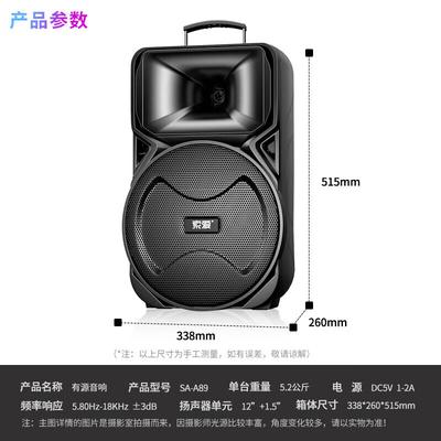 Suo Ai 12-дюймовая портативная уличная Bluetooth-колонка для караоке, штекер CN (адаптер в комплекте)