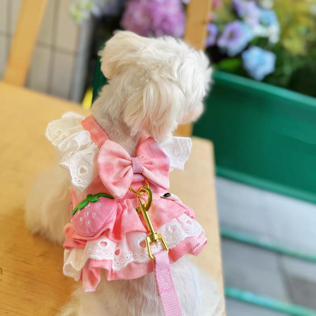 Strawberry Denim Pet Dog Accessory Pink Blue Dachshund Girl Boy Cute Doggie Harness Dress Apparel Outdoor Puppy Small Collar Cat