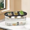 Grower Box Transparent Planting 6 Holes Practical Rectangular Container for Home