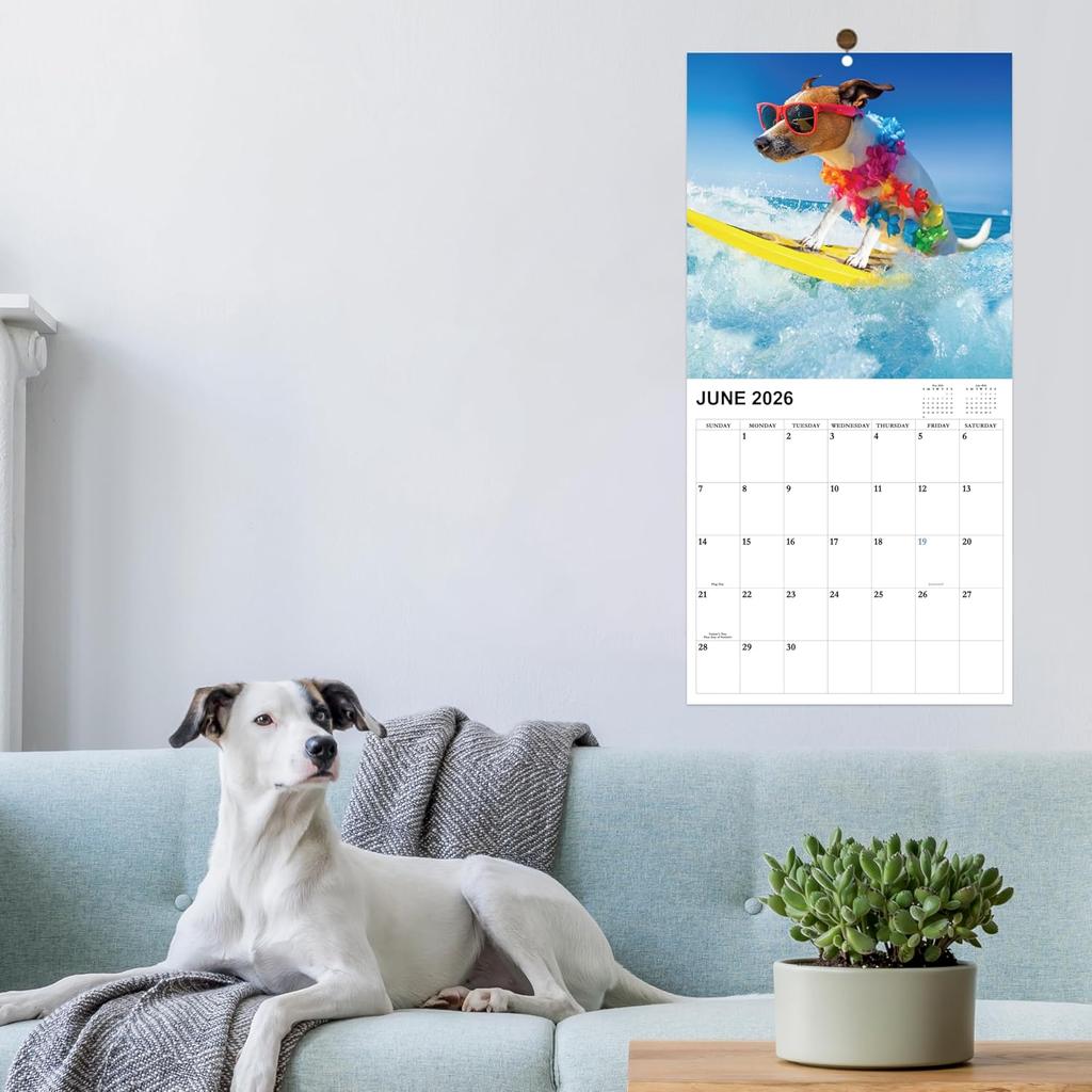 2026-2027 Calendar - 18-Month Wall Calendar 2026-2027 Funny Dog Calendars from Jan. 2026 - Jun. 2027, Calendar 2026 with Unruled Blocks, Holidays,