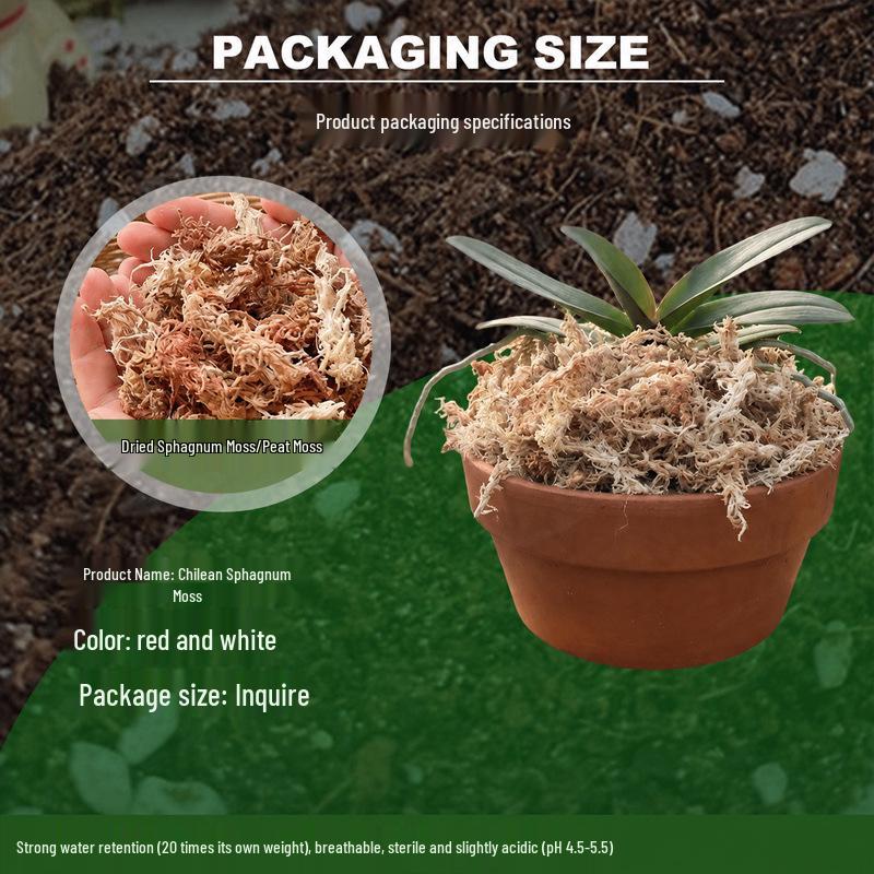 Chilean Five-Star Sphagnum Moss: Water-Retentive, Breathable Medium for Orchids, Carnivorous Plants, Ferns, Dendrobiums, and Reptile Bedding