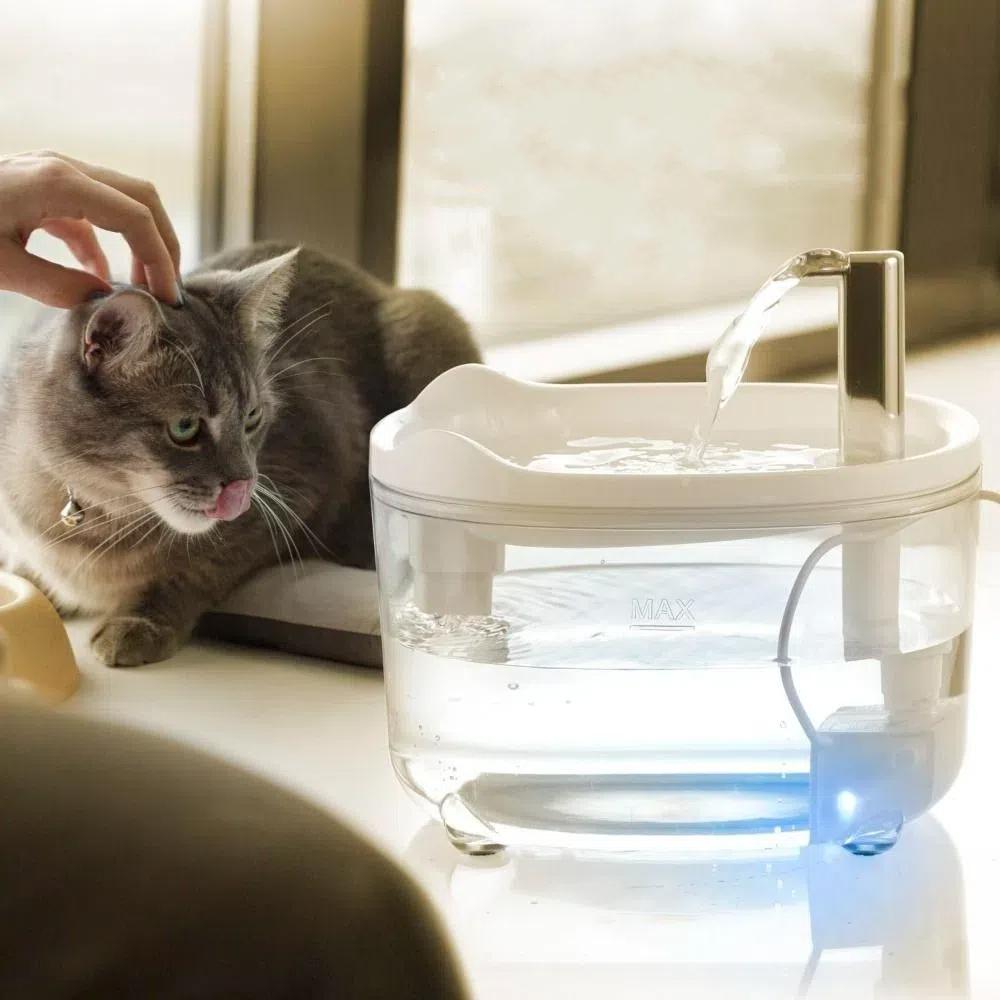 Автоматический фильтр для кошек, поилка с бесшумным насосом, миска для поения собак, диспенсер для воды для домашних животных