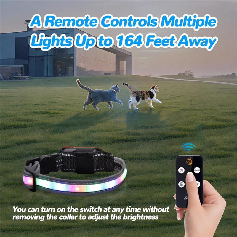 Cat Collar With Remote, Rechargeable Waterproof LED Light For Night, Dog For Night Walking Accessories