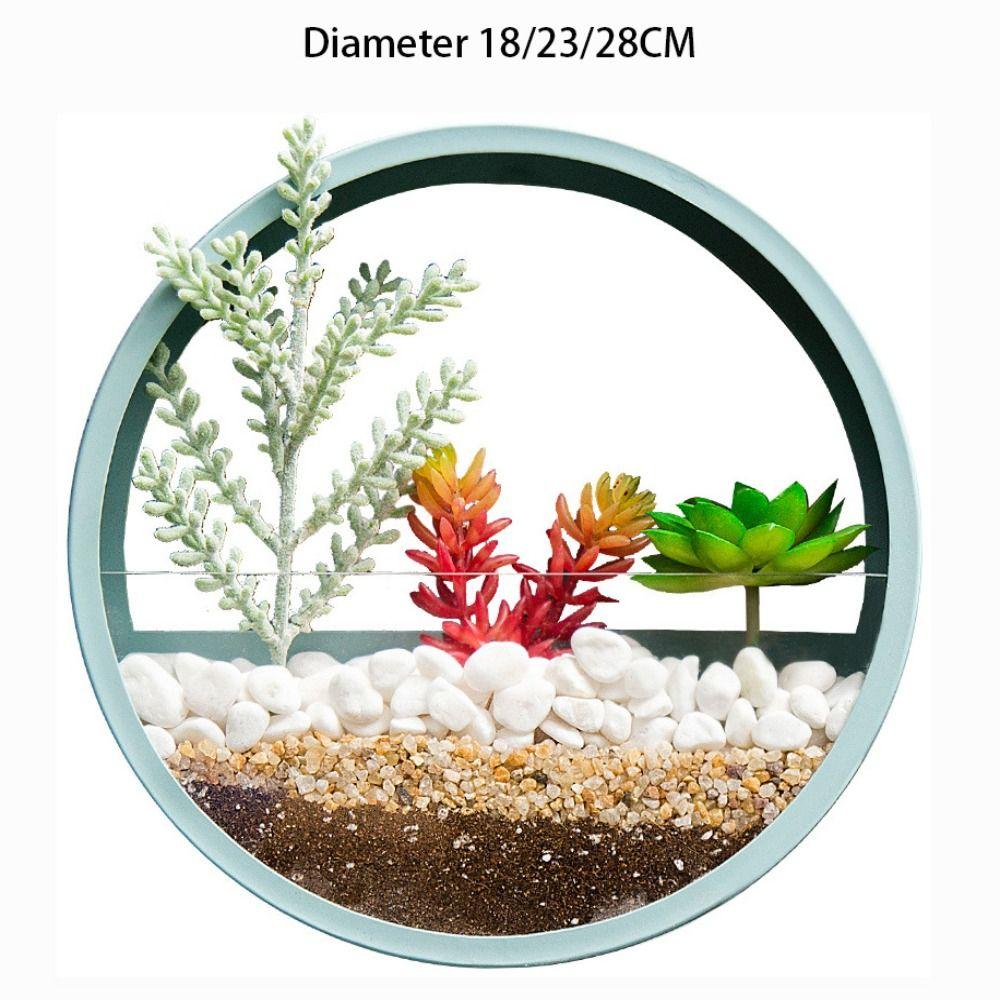 Корзина Настенное украшение Настенный контейнер для растений Цветочный горшок Украшения Гидропонная ваза Цветочный горшок