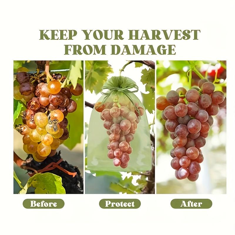 50pcs Reusable Fruit And Vegetable Protection Bags - 12x9cm Drawstring Net Cover