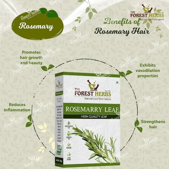 The Forest Herbs Natural Care From Nature Rosemary Dried Leaves - 100gm | Clean & Sorted Dry Rosemary Leaves for Hair Growth & Food 100g