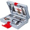 Premium Accessory Set for Drilling and Screwdriving (49pcs) -