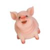 Прекрасные копилки в виде свиньи, небьющиеся, копилки в форме животных, коробки для хранения монет, подарок на день рождения, Пасху, Рождество