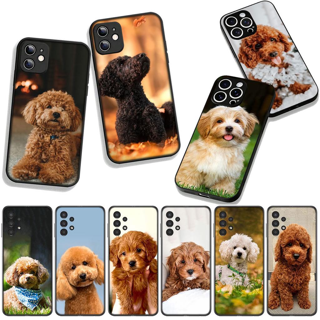Phone Cover Lovely Poodle Dog Pet Casing for Apple iPhone 17 16 11 Pro XS Max XR 6 7 8 Plus + 16E SE 2020 Air 5 8+ Case