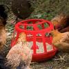 Detachable Chicken Feeding Trough Plastic Poultry Food Trough  For Goose Chicken Birds Pigeon