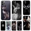 Чехол для телефона с котом сфинксом для iPhone Samsung Galaxy Redmi Xiaomi Oppo OnePlus Note SA 7 8 9 10 11 12 13 14 20 21 22 23 53 54 Pro Max Plus Ultra TPU Soft