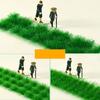 Static Grass Irregular Model 8mm High City Beautification Terrain