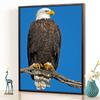 DIY Орел 5D алмазная живопись полная круглая дрель животное Алмазная вышивка крестиком мозаика птица домашний декор стены книги по искусству подарок