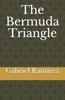 Книга The Bermuda Triangle : 79